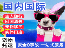 喀什航空物流国际宠物托运 【国